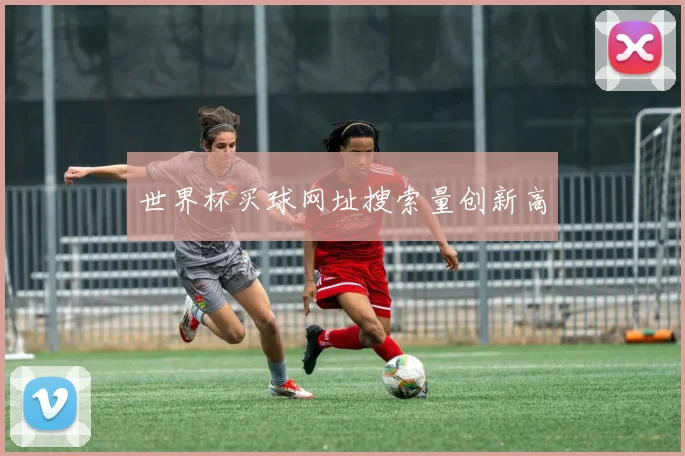 世界杯买球网址搜索量创新高