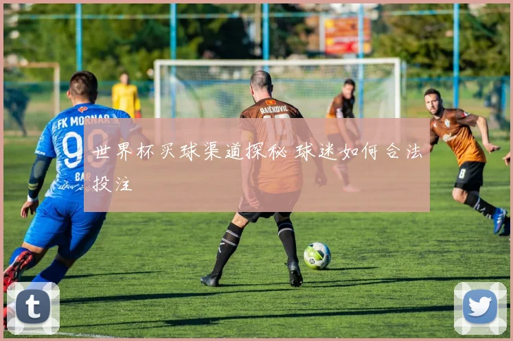 世界杯买球渠道探秘 球迷如何合法投注