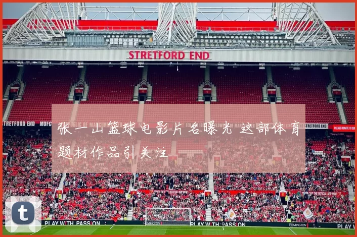 张一山篮球电影片名曝光 这部体育题材作品引关注